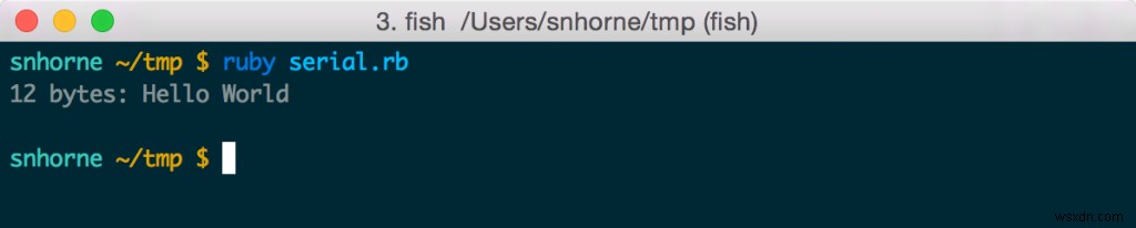 Fiddle: Ruby에서 C 라이브러리를 자유롭게 활용하는 방법 – 가장 잘 알려지지 않은 표준 라이브러리