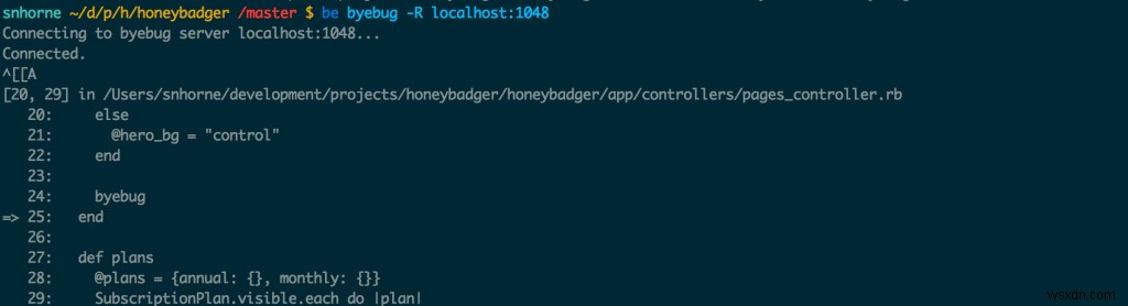 Byebug, Rails, Pow를 활용한 원격 디버깅 완벽 가이드