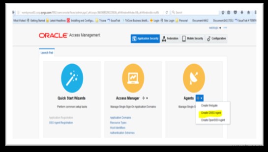 Oracle Discoverer 11g와 Oracle Access Manager(OAM) 11g SSO 통합 완벽 가이드