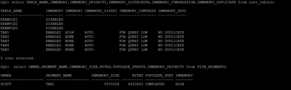 Oracle Database 18c 자동 인메모리(AIM) 설정 및 활용 가이드