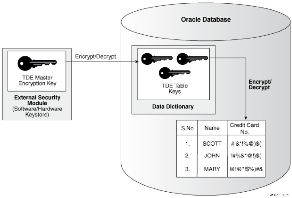 Oracle 데이터베이스 보안: 투명한 데이터 암호화(TDE)로 민감한 데이터 보호하기