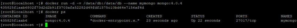 Docker 컨테이너로 MongoDB 배포하기: 초보자를 위한 단계별 가이드