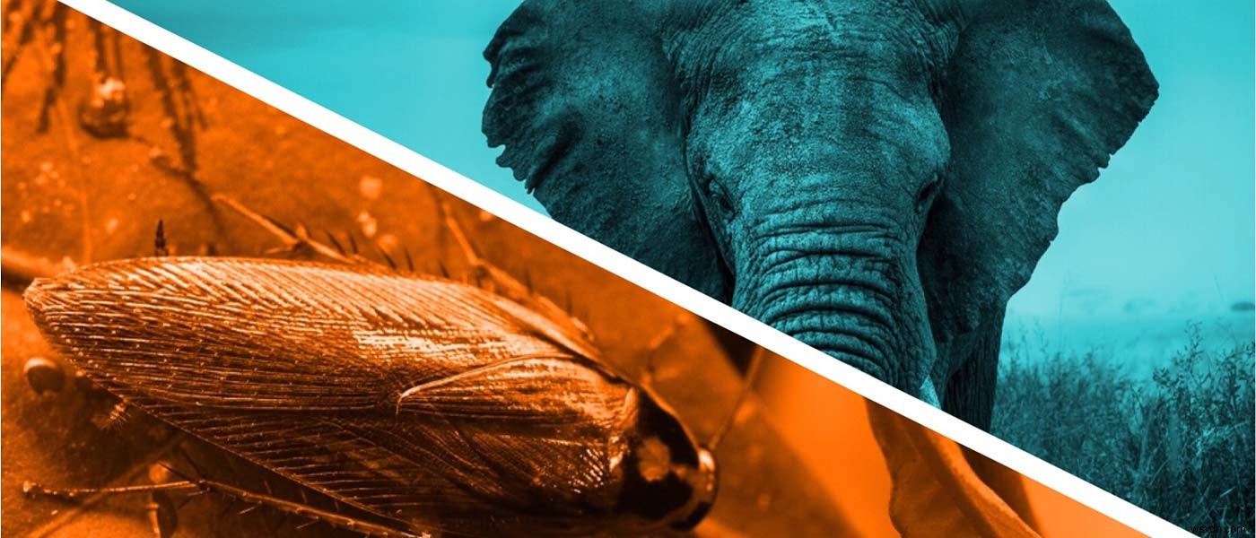PostgreSQL vs CockroachDB, 나에게 맞는 데이터베이스 선택 가이드