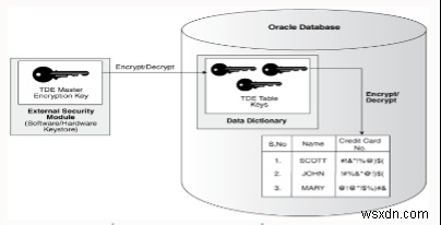 Oracle 투명 데이터 암호화(TDE) 완벽 가이드: 개념부터 실전 설정까지