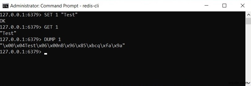 Redis DUMP 명령어 완벽 가이드 – 키 값의 직렬화된 데이터를 가져오는 방법