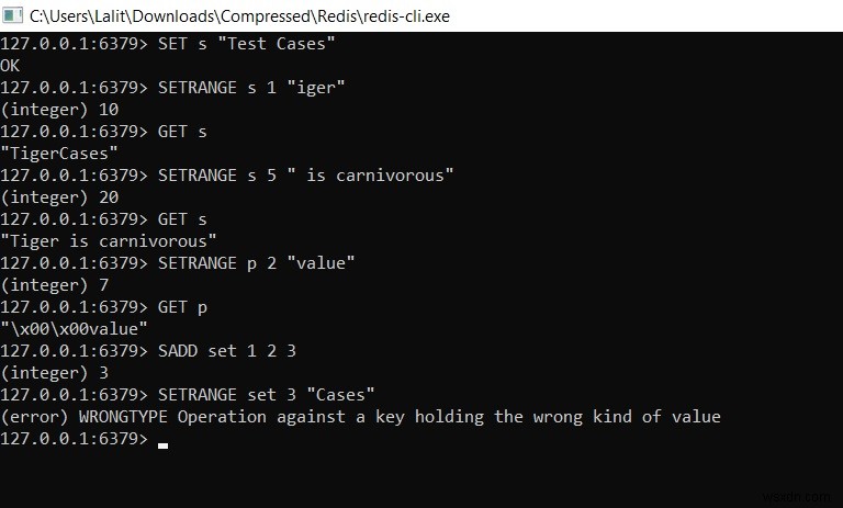 Redis SETRANGE 명령어 완벽 가이드 – 문자열 값의 일부를 업데이트하는 방법