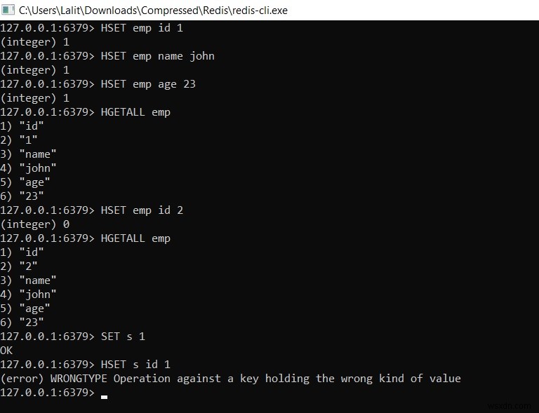 Redis 해시(Hash) 완벽 가이드 – 해시 값을 저장하고 관리하는 15가지 핵심 명령어