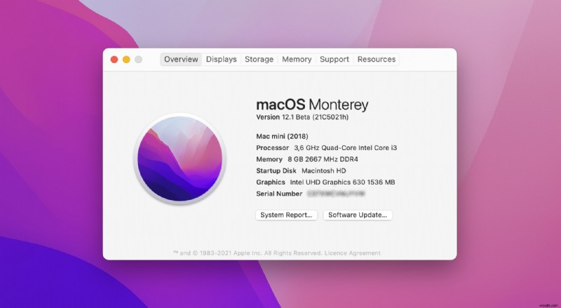macOS Monterey 업데이트 후 손실된 파일 복구하는 방법 총정리