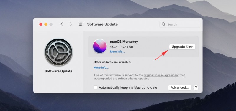 macOS Monterey 업데이트 후 손실된 파일 복구하는 방법 총정리