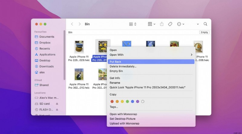 macOS Monterey 업데이트 후 손실된 파일 복구하는 방법 총정리
