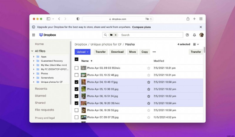 macOS Monterey 업데이트 후 손실된 파일 복구하는 방법 총정리