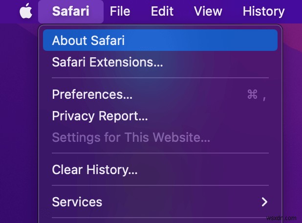 Mac에서 사파리(Safari)가 멈추거나 계속 충돌할 때 해결 방법 총정리
