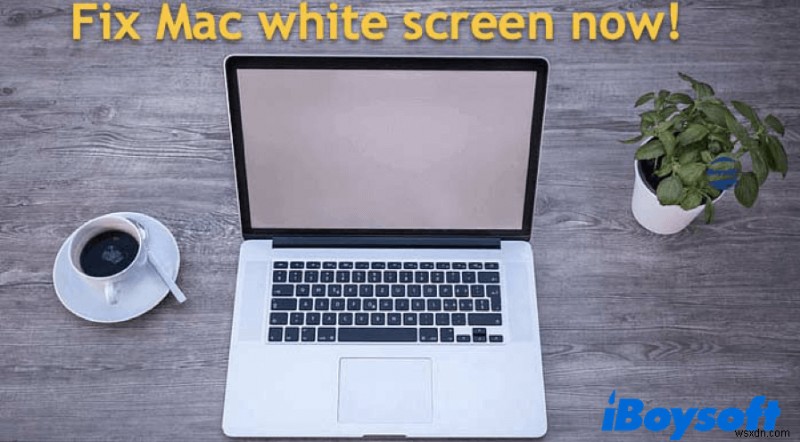 맥(Mac) 부팅 시 흰 화면 현상, 원인부터 해결 방법까지 총정리