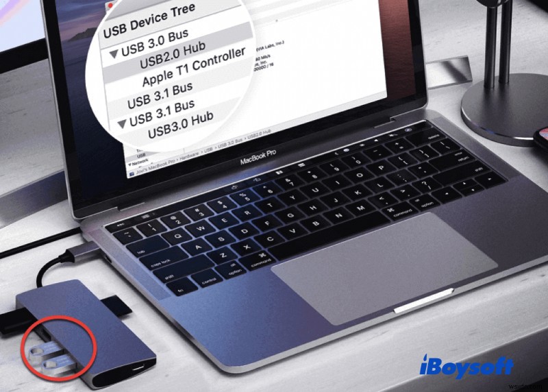 Mac에서 USB 플래시 드라이브가 표시되지 않을 때 해결하는 완벽 가이드 (macOS 12 Monterey 대응)