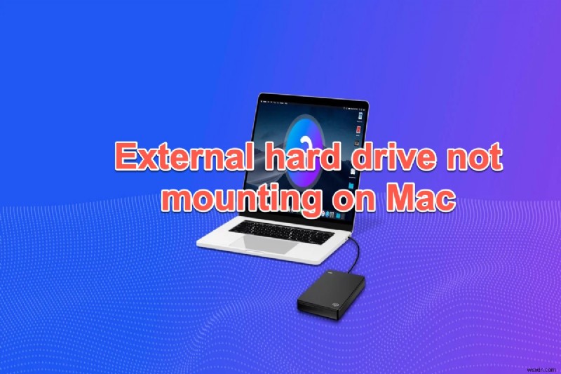 macOS Big Sur/Catalina/Mojave에서 외장 하드 드라이브가 마운트되지 않을 때, 8가지 해결 방법 완벽 가이드