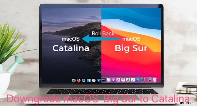 macOS 다운그레이드 완벽 가이드: Big Sur → Catalina, Monterey → Big Sur