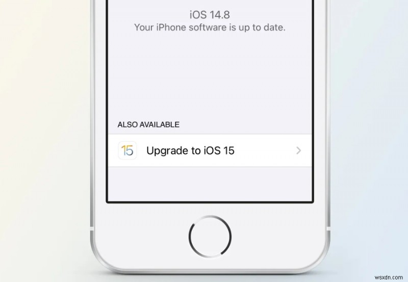 iOS 15 업데이트 후 스포트라이트(Spotlight) 검색이 작동하지 않을 때 해결하는 6가지 방법