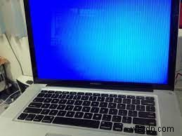Mac 블루 스크린(블루스크린 오브 데스) 해결 방법 완벽 가이드