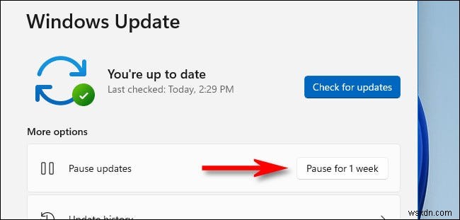 Windows 11 자동 업데이트 중지하는 방법 — 일시 중지부터 영구 차단까지