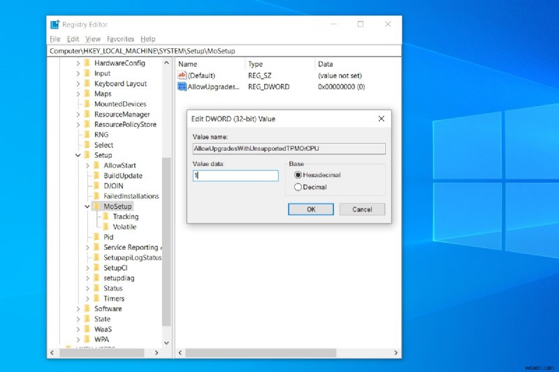 Windows 11 자동 업데이트 중지하는 방법 — 일시 중지부터 영구 차단까지