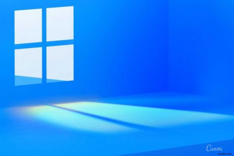 Windows 11에서 위젯이 작동하지 않을 때 해결하는 5가지 방법