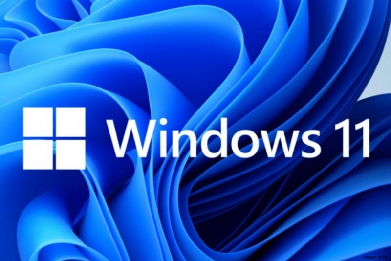Windows 11에서 터치스크린이 작동하지 않나요? 꼭 시도해야 할 해결 방법