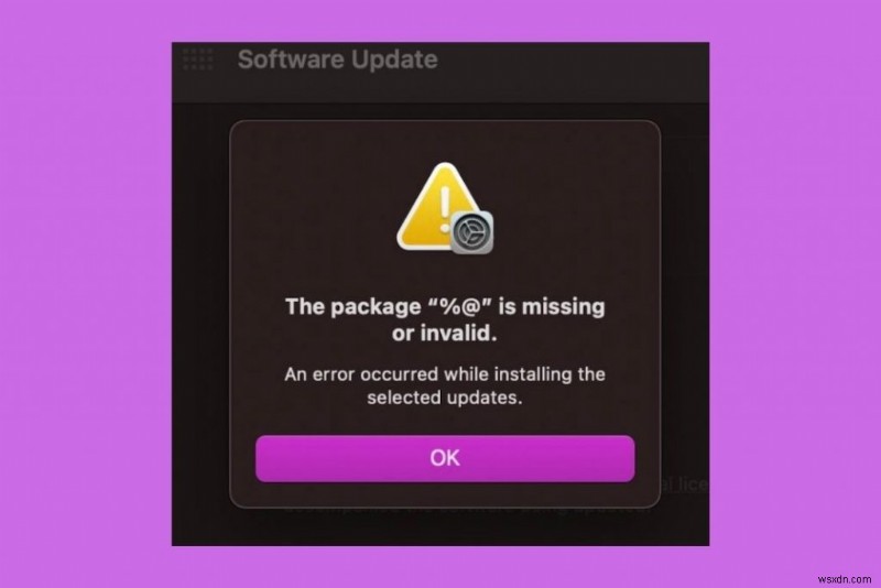 macOS Monterey 업그레이드 시  패키지 %@이(가) 없거나 잘못되었습니다  오류 해결 방법