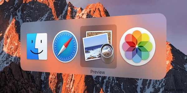Mac에서 PDF에 텍스트 입력하는 방법 A to Z: Adobe Reader 활용 완벽 가이드