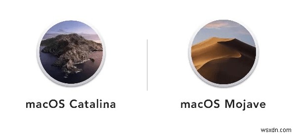 macOS Mojave vs Catalina 완벽 비교: Catalina로 업그레이드해야 할까요?