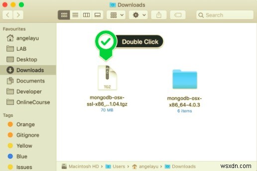맥(Mac)에 MongoDB 쉽고 빠르게 설치하는 방법 완벽 가이드