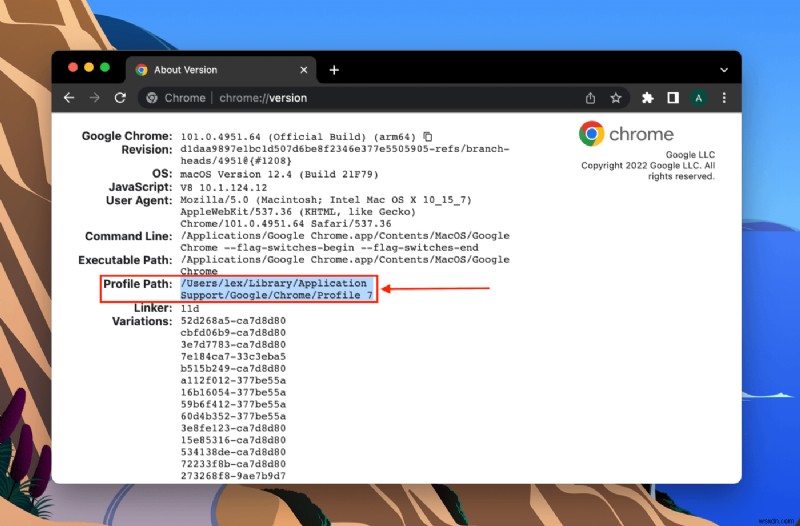 Mac Chrome에서 삭제된 북마크 복구하는 방법 총정리