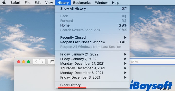 Mac/MacBook에서 사파리(Safari)가 작동하지 않을 때? 간단한 해결 방법 총정리