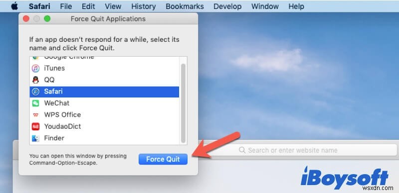 Mac/MacBook에서 사파리(Safari)가 작동하지 않을 때? 간단한 해결 방법 총정리