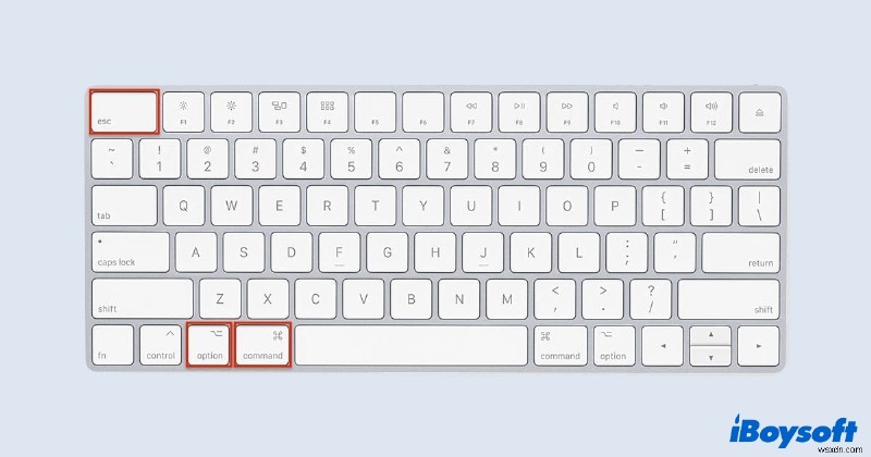 맥(Mac)에서 강제 종료하는 방법: 응답 없는 앱을 닫는 4가지 방법 총정리