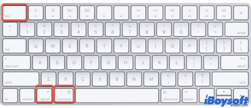 Mac에서 강제 종료가 안 될 때? 멈춘 앱을 종료하는 4가지 확실한 해결법