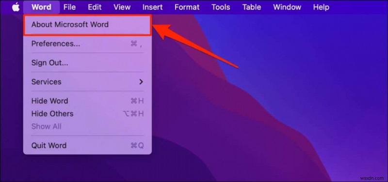 내 PC에 설치된 Microsoft Office 버전 확인하는 방법 (Windows & Mac)