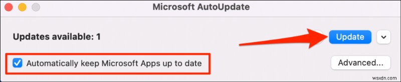 내 PC에 설치된 Microsoft Office 버전 확인하는 방법 (Windows & Mac)