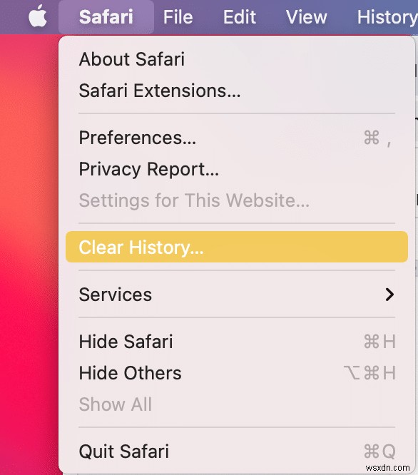 Mac에서 Safari(사파리)가 열리지 않을 때 해결하는 5가지 방법