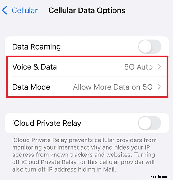 아이폰 11은 5G를 지원할까? 5G 켜는 방법과 지원 기기 총정리