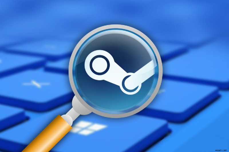 Windows에서 Steam.exe를 찾을 수 없음 오류 해결하는 방법