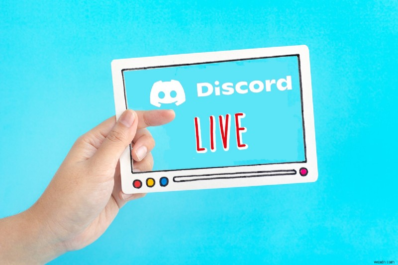 디스코드(Discord) Go Live가 안 보일 때? 5가지 해결 방법 총정리