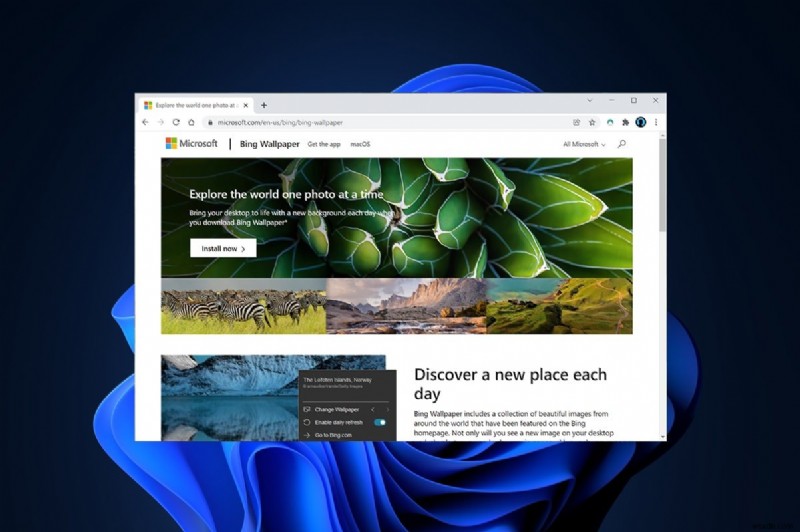 Windows 11 Bing 배경화면 앱 다운로드·설치부터 활용까지 완벽 가이드