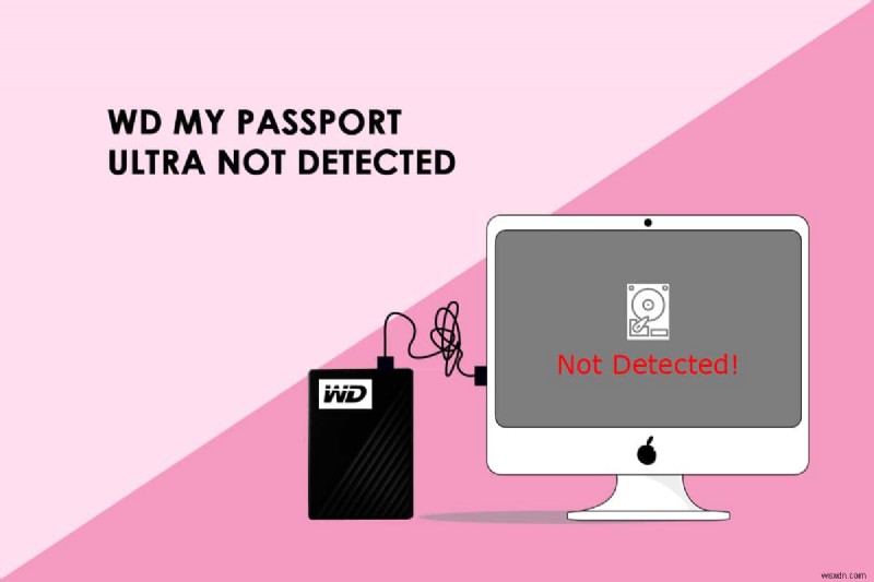 Windows 10에서 WD My Passport Ultra 외장하드가 인식되지 않을 때 해결하는 6가지 방법