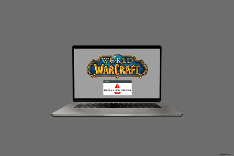 월드 오브 워크래프트(WOW) 오류 #134 치명적 상태 해결 방법 총정리