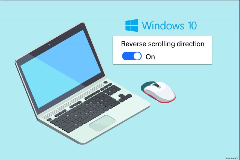 Windows 10에서 역방향(반대) 스크롤 설정하는 방법 총정리