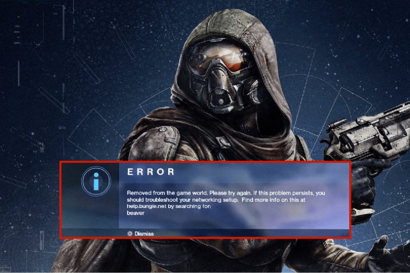 데스티니(Destiny) 오류 코드 Beaver 해결 방법 총정리