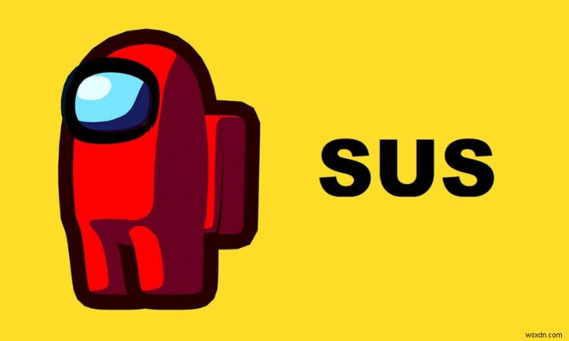 Sus의 뜻은 무엇일까? 텍스트 속어  Sus  완벽 정리