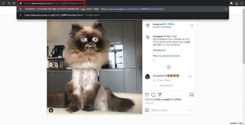 인스타그램 사진 원본 크기(고화질)로 보는 방법 2가지