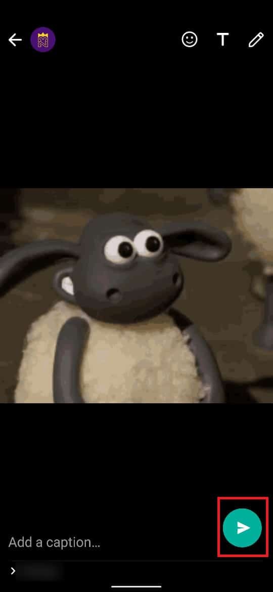 안드로이드에서 GIF 보내는 방법 완벽 가이드 (메시지 앱·지보드·GIPHY)