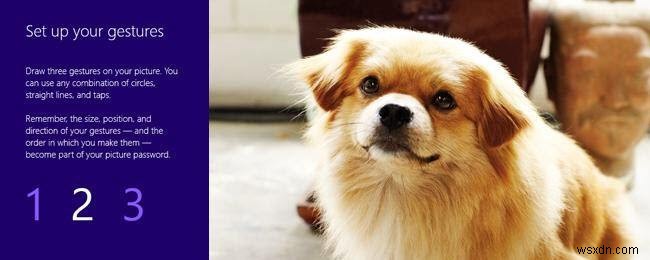 Windows 8 사진 암호 설정 방법과 보안 강화 팁 총정리